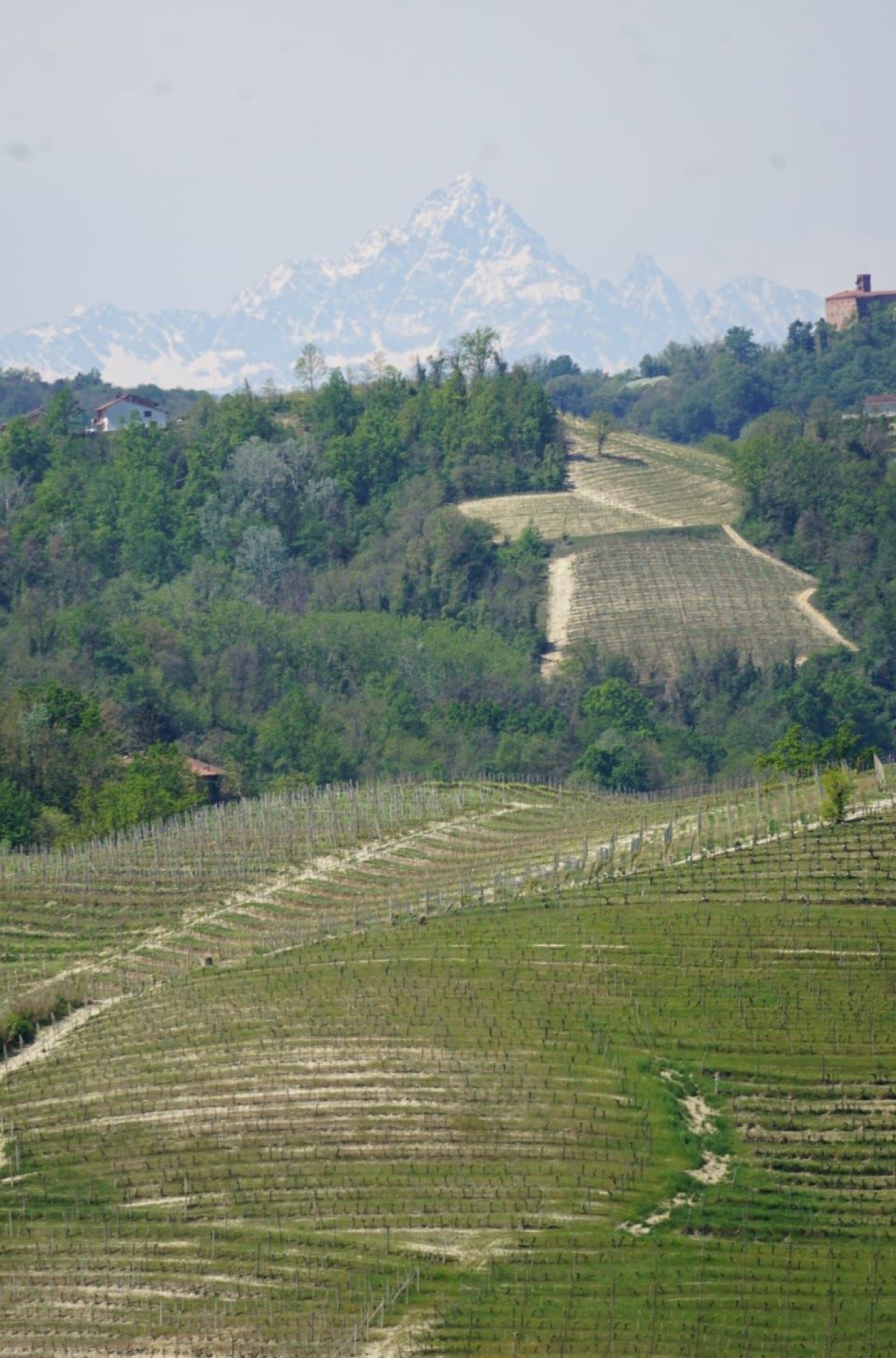 Alperne i baggrunden